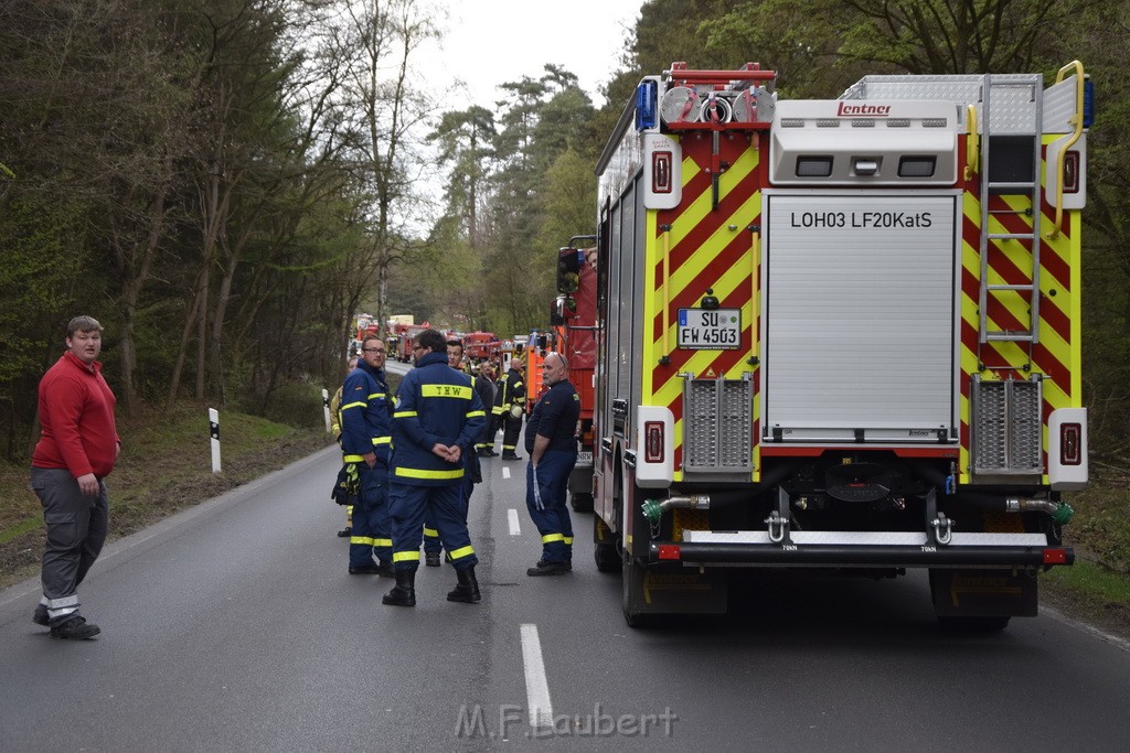 Waldbrand Wahner Heide Troisdorf Eisenweg P282.JPG - Miklos Laubert